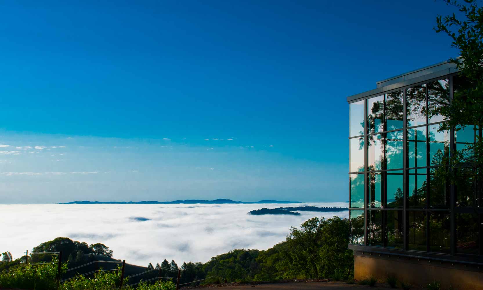 Arteriors Architects Northern California Glass House with Valley Fog